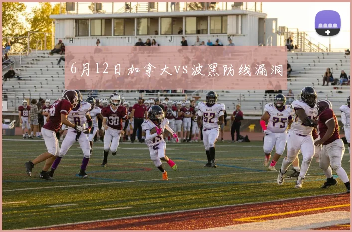 6月12日加拿大vs波黑防线漏洞
